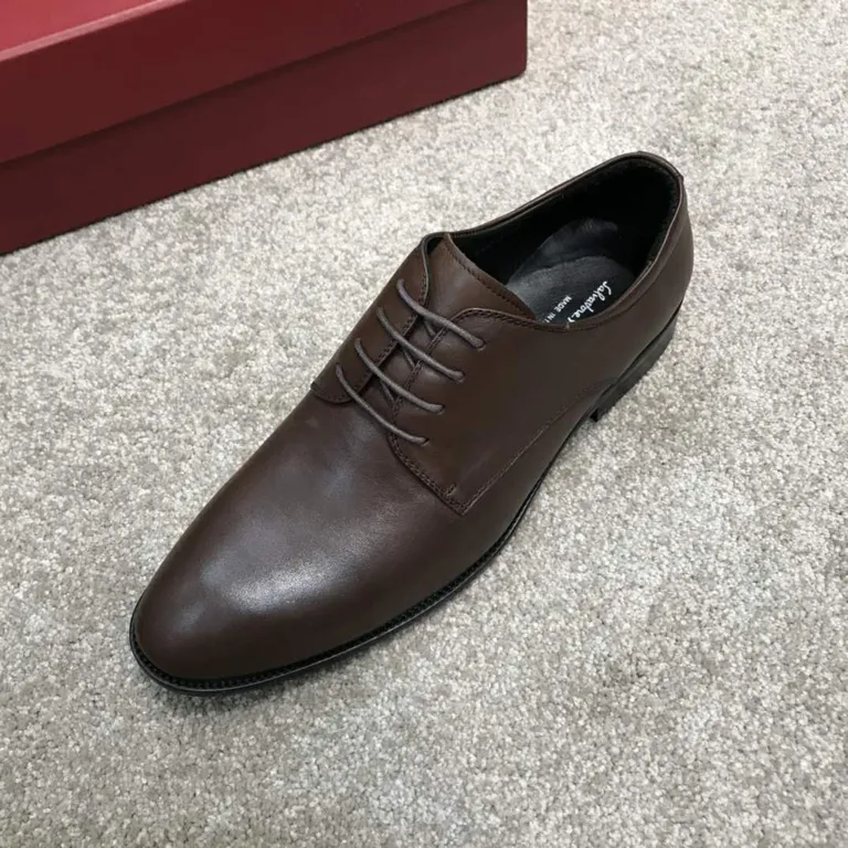 Ferragamo Shoe 